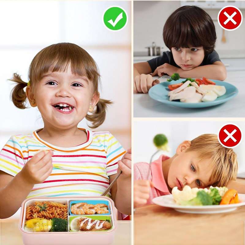 แผ่นกั้นกล่องอาหารกลางวันซิลิโ - Baby Food Container บทวิจารณ์และราคา